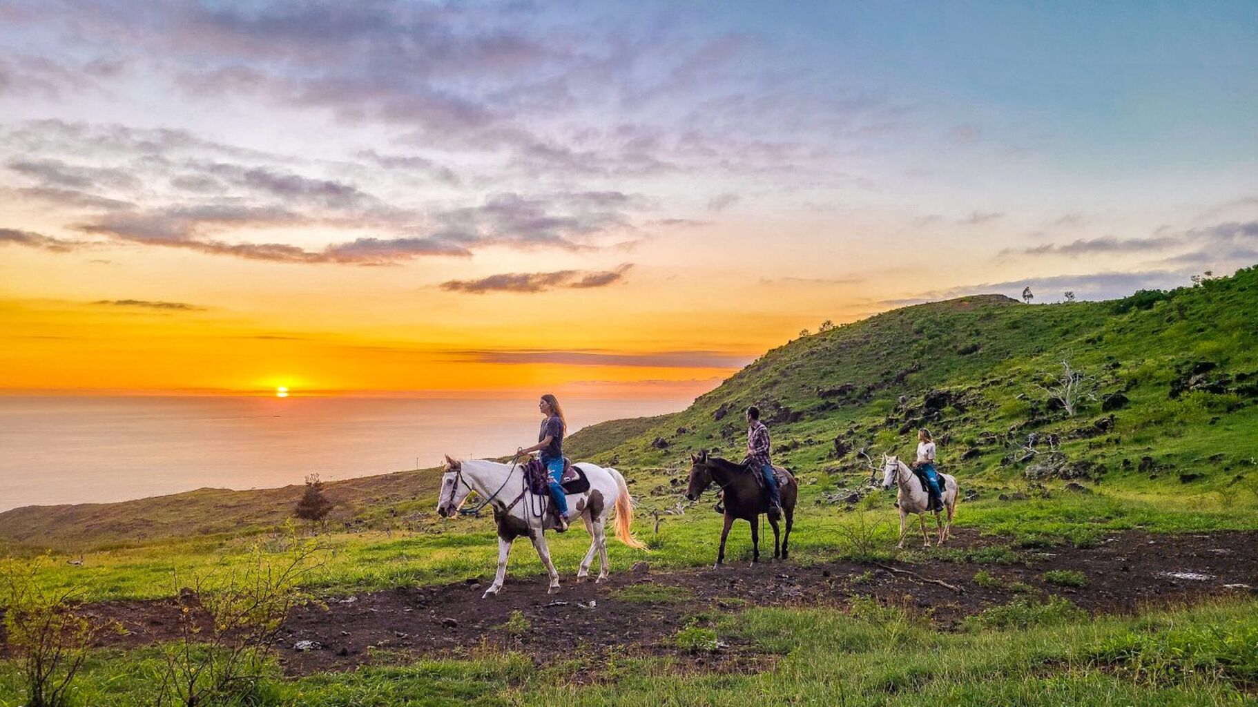 USE CODE: TravelwithKri for 10% OFF 🐴  Pālehua Trail Rides 