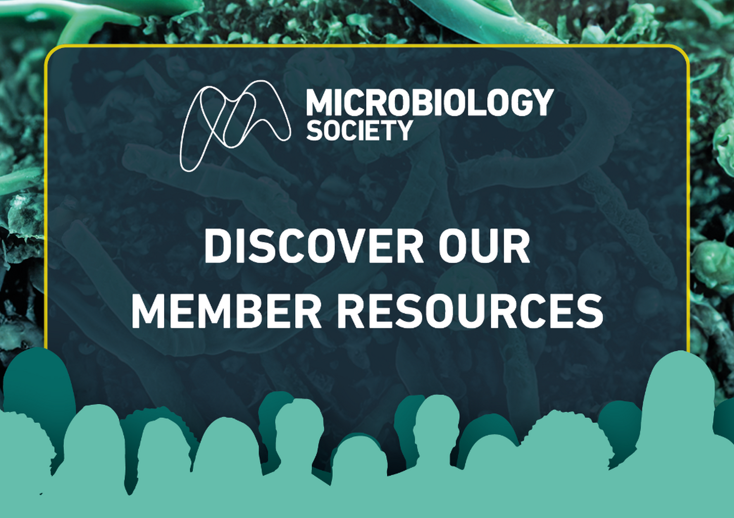 Discover our member resources clip