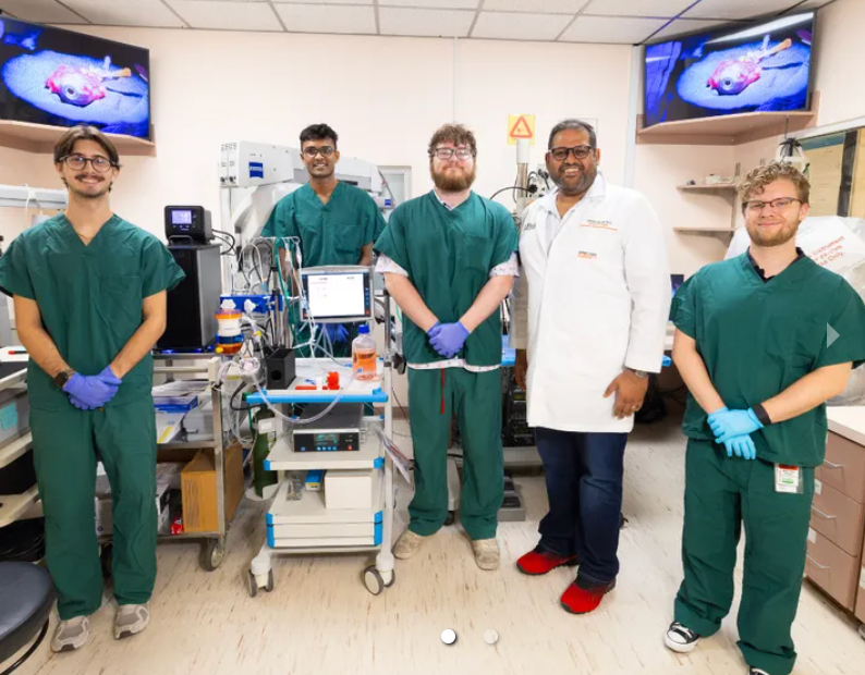 Paving the Way for Human Eye Transplants