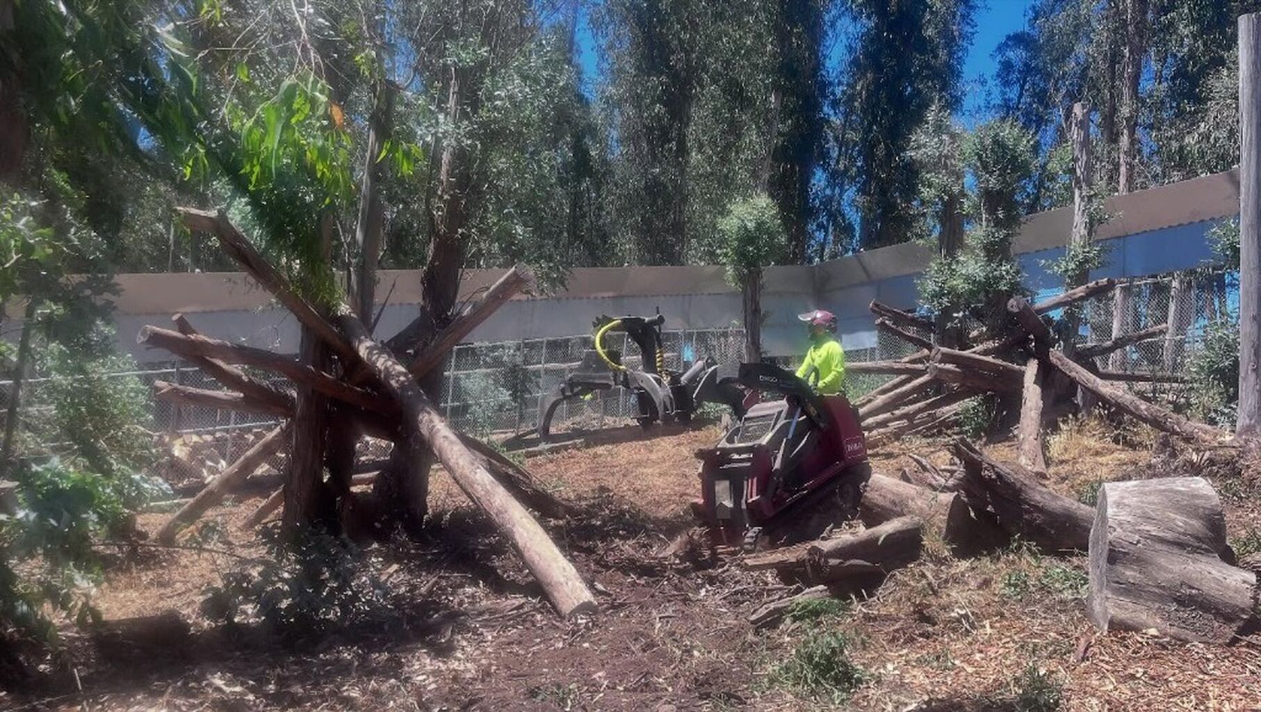 From Brush Piles to Bear Habitat &mdash; Your Donation in Action!