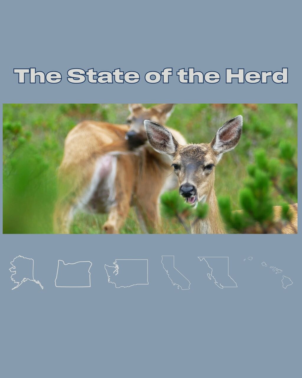 The State of the Herd