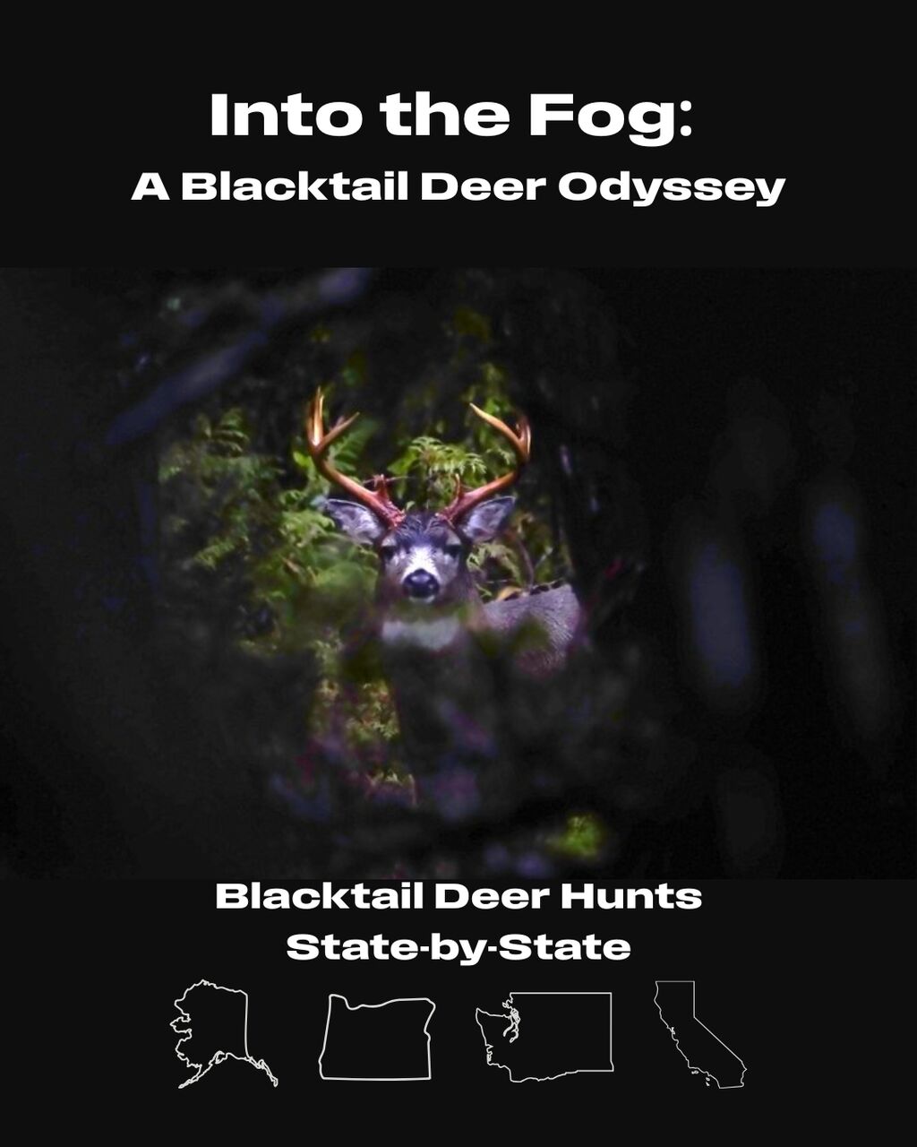 Into the Fog: A Blacktail Deer Odyssey