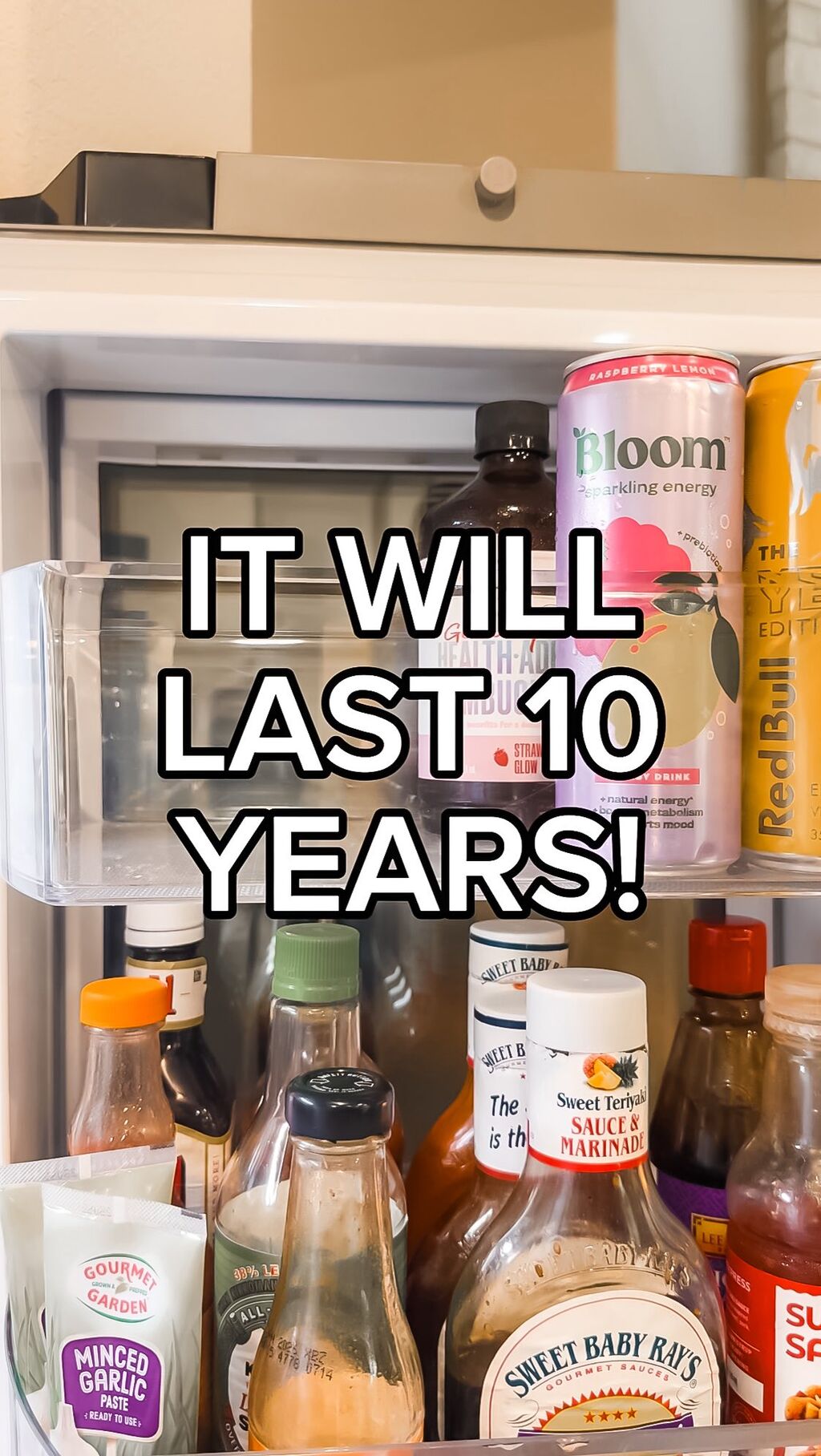 REFRIGERATOR DEODORIZER