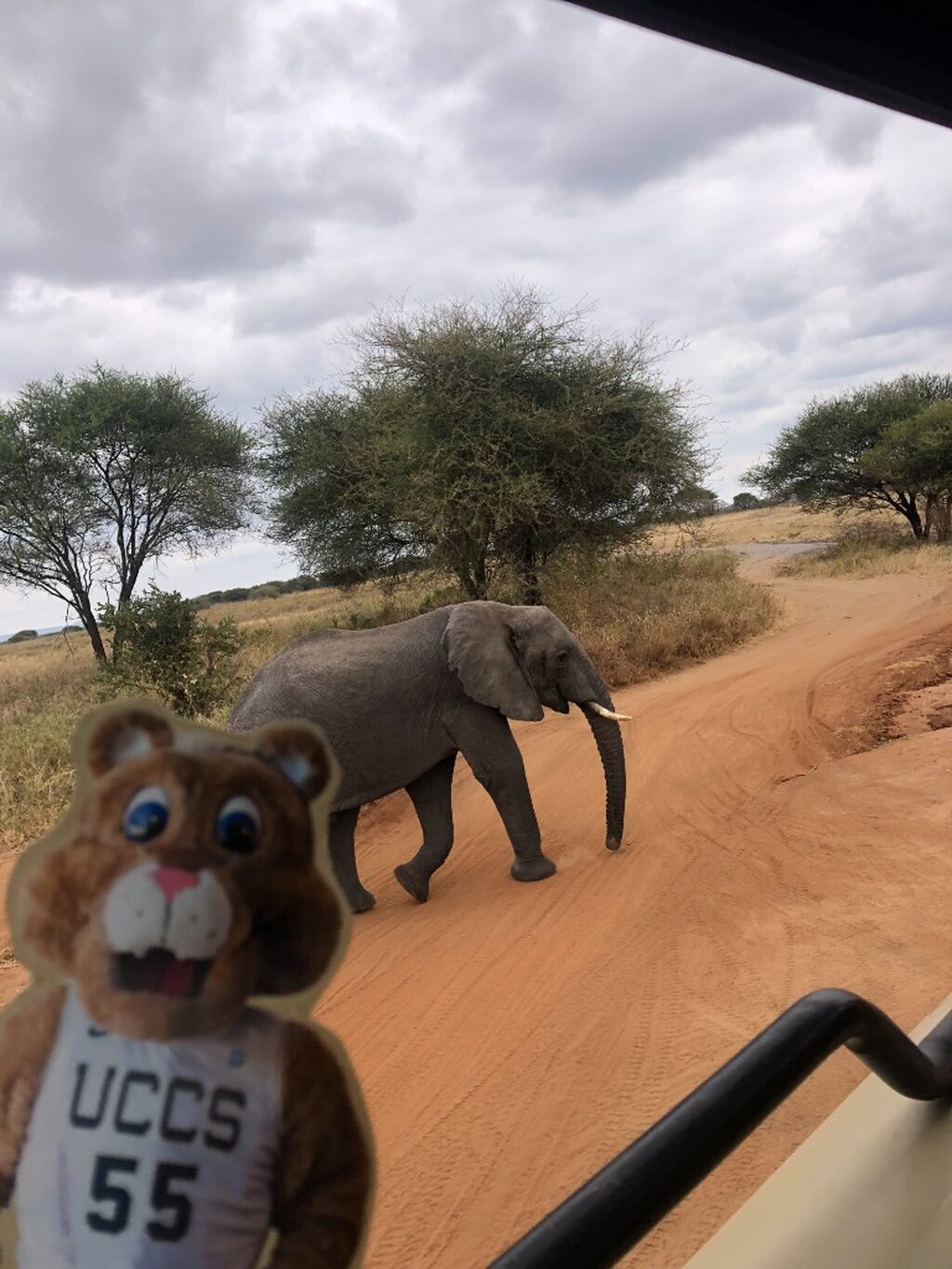 Take Flat Clyde on an Adventure!