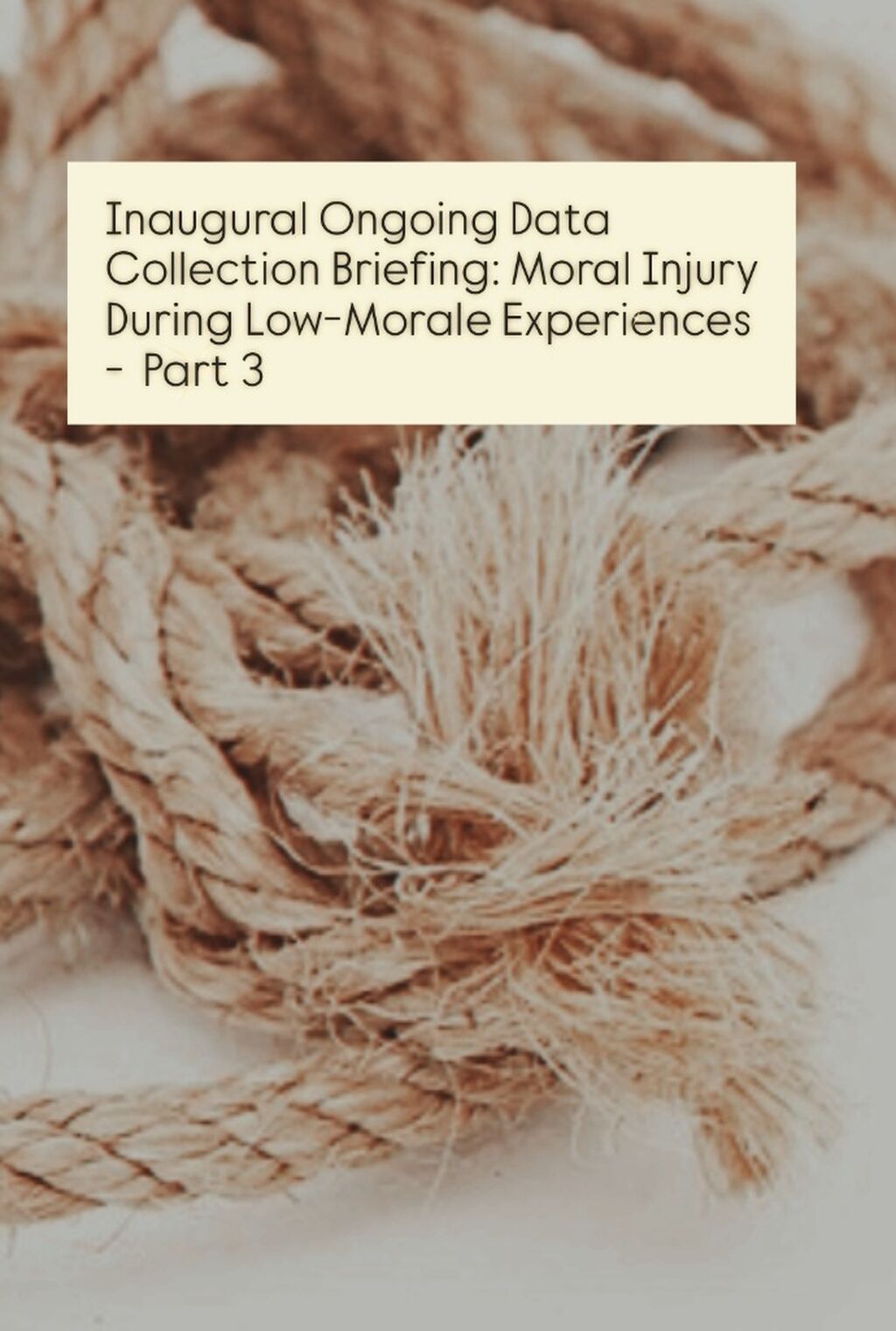 INAUGURAL DATA COLLECTION BRIEFING - MORAL INJURY DURING LOW-MORALE EXPERIENCES, PART 3