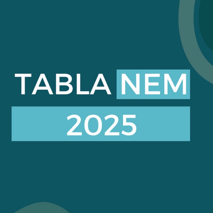 Tabla NEM 25&acute;