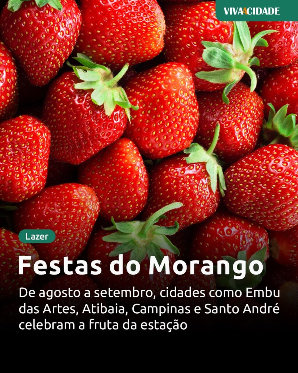 Festas do Morango