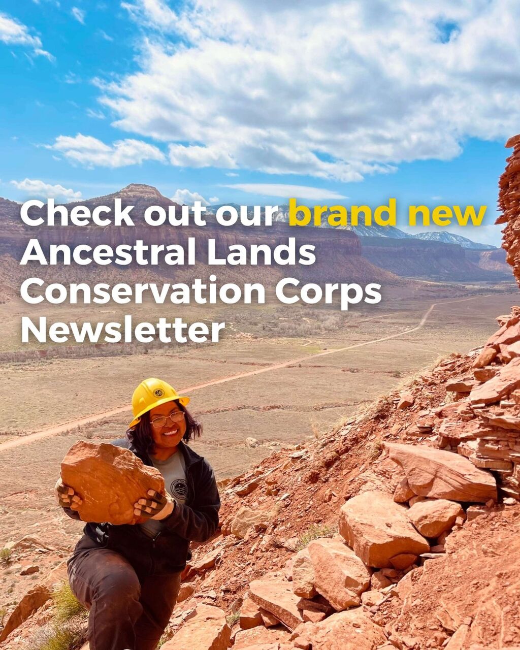 ALCC-Summer Newsletter