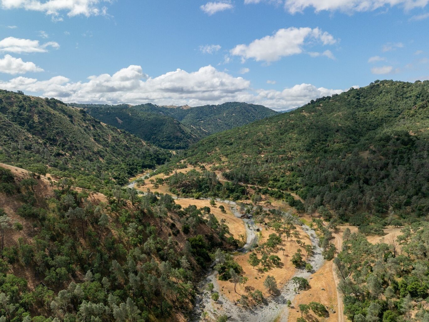 Save Mount Diablo Fights against Ridiculously Expensive Reservoir in Key Diablo Range Wildlife Corridor