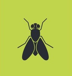 Youtube about Surekill Pest Control