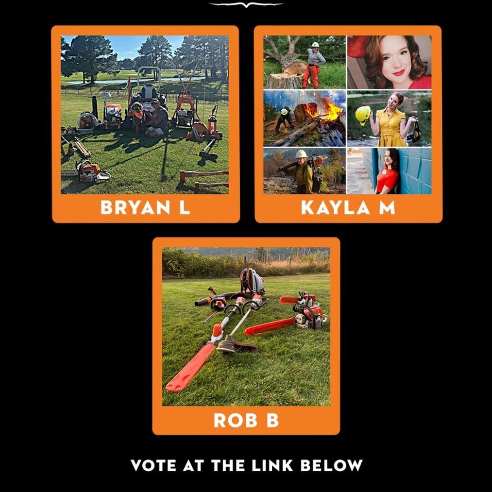 Finalists Vote