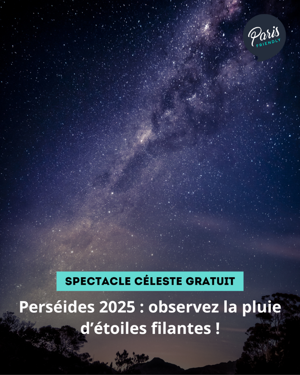 Pers&eacute;ides 2025 : observez la pluie d&rsquo;&eacute;toiles filantes !
