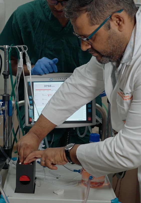 Paving the way for human eye transplants