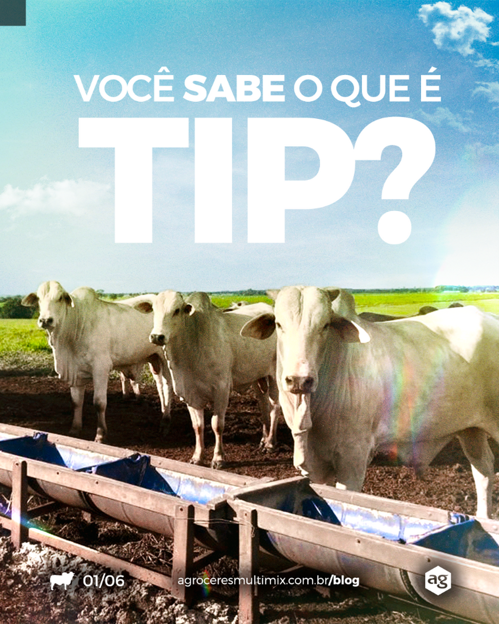 Cada vez mais presente, a TIP ganha for&ccedil;a no Brasil como uma solu&ccedil;&atilde;o para uma pecu&aacute;ria mais eficiente e sustent&aacute;vel.   Voc&ecirc; sabe como esse sistema funciona na pr&aacute;tica?   Acesse o agBlog e confira 