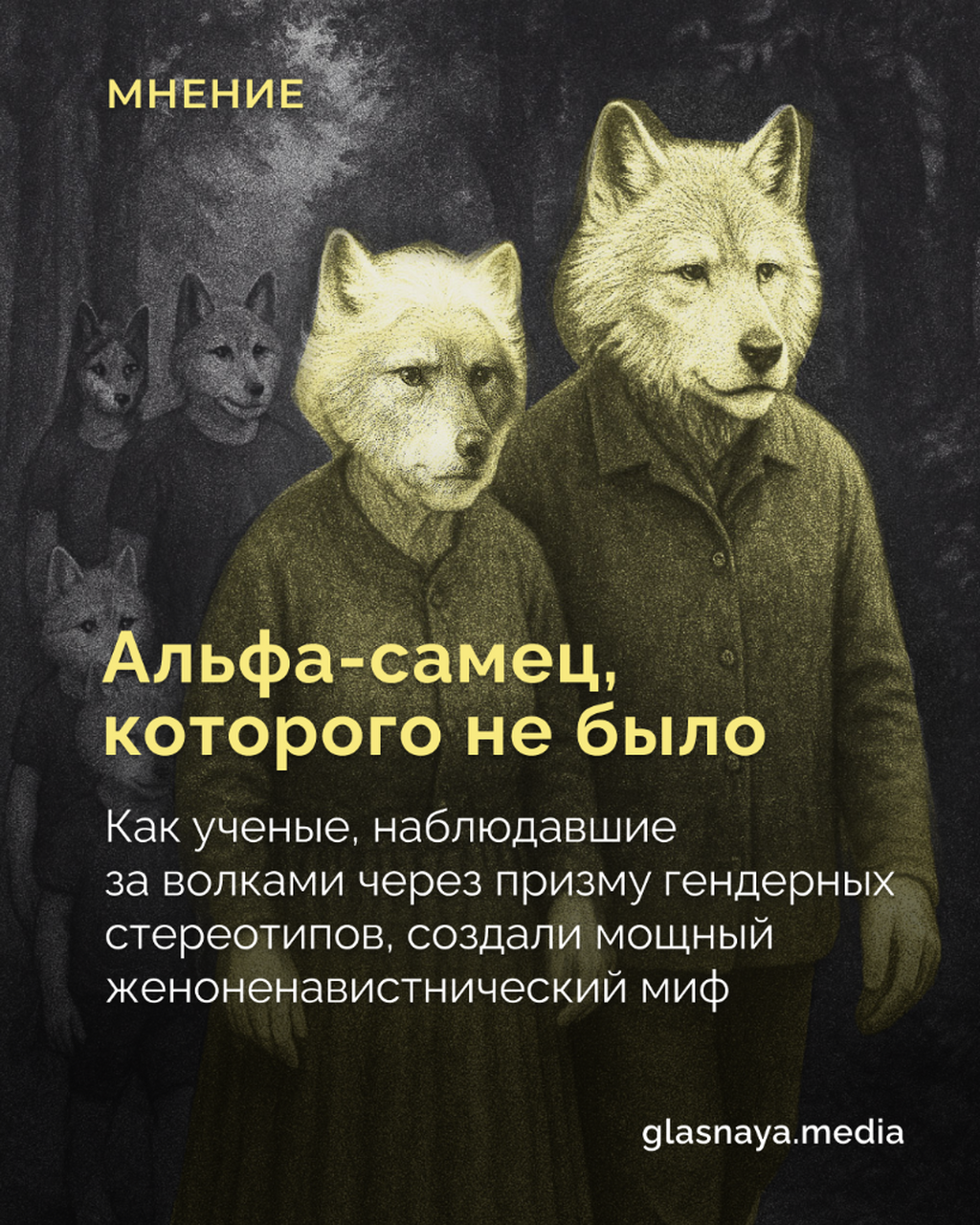 Альфа-самец, которого не было