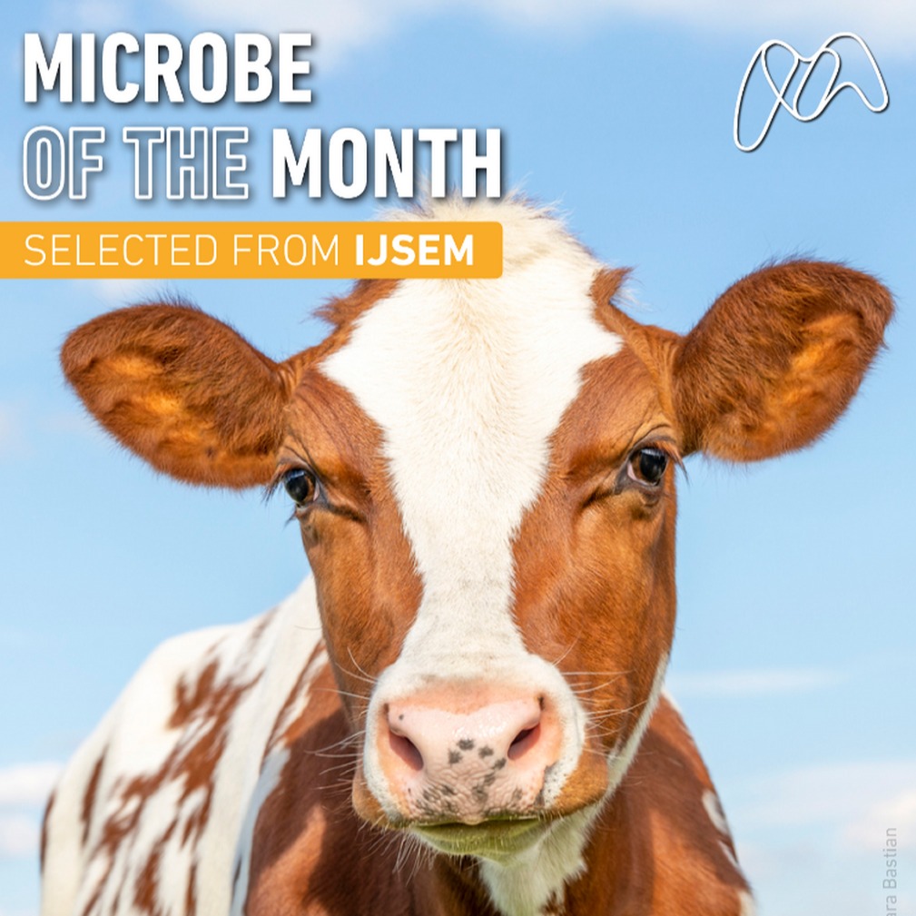 Microbe of the Month August 2025