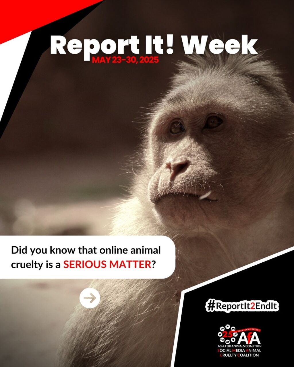 REPORT CRUELTY: Social Media Animal Cruelty Coalition's Report It! Hub
