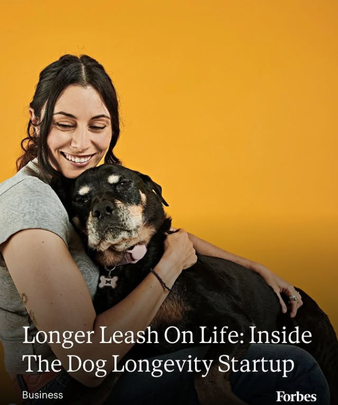 Longer Leash On Life: Inside The Dog Longevity Startup