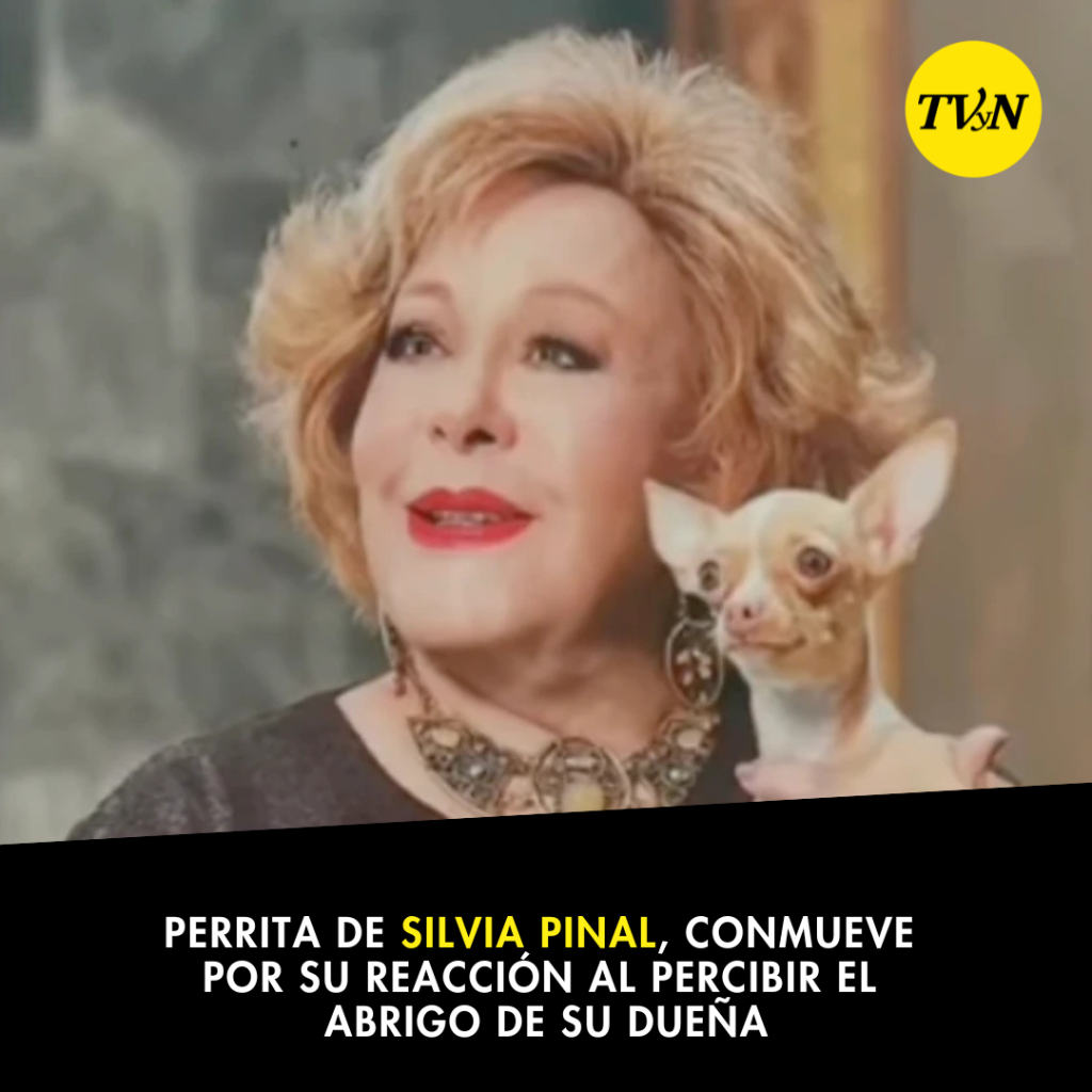 &ldquo;Cosita&rdquo;, perrita de Silvia Pinal, conmueve por su reacci&oacute;n al percibir el abrigo de su due&ntilde;a