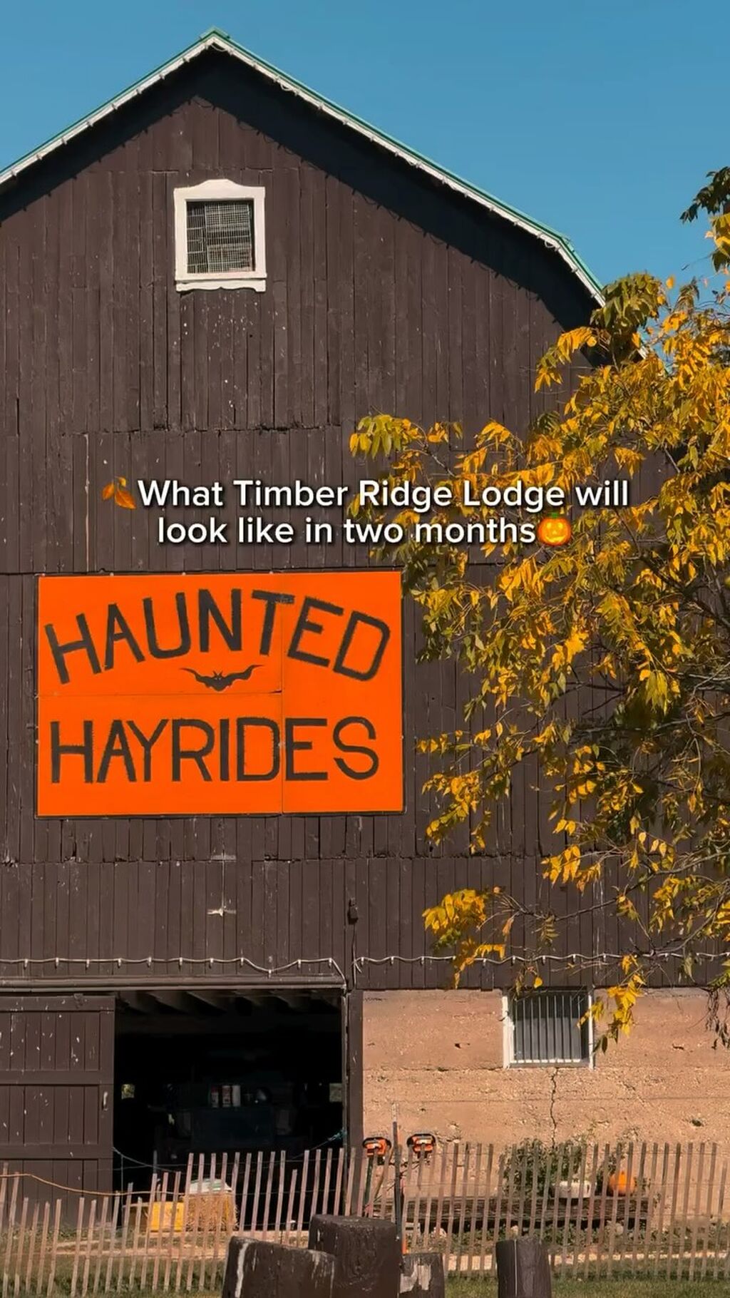 Fall Stays 2025