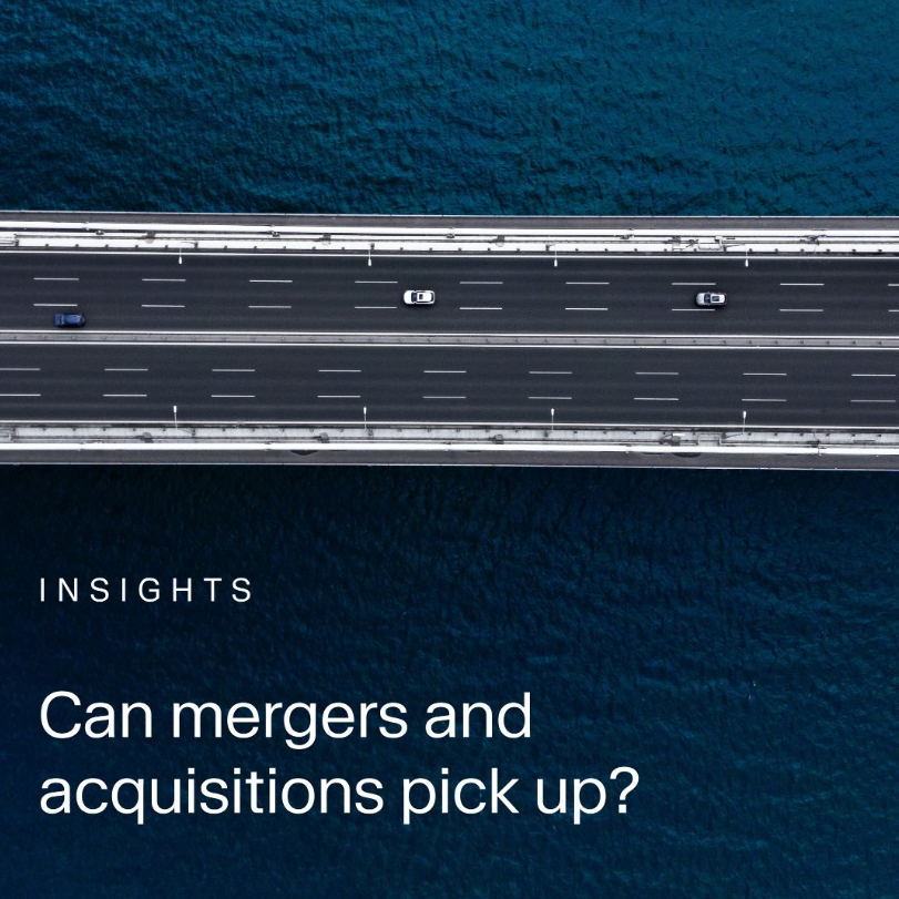 Mergers and Acquisitions Activity