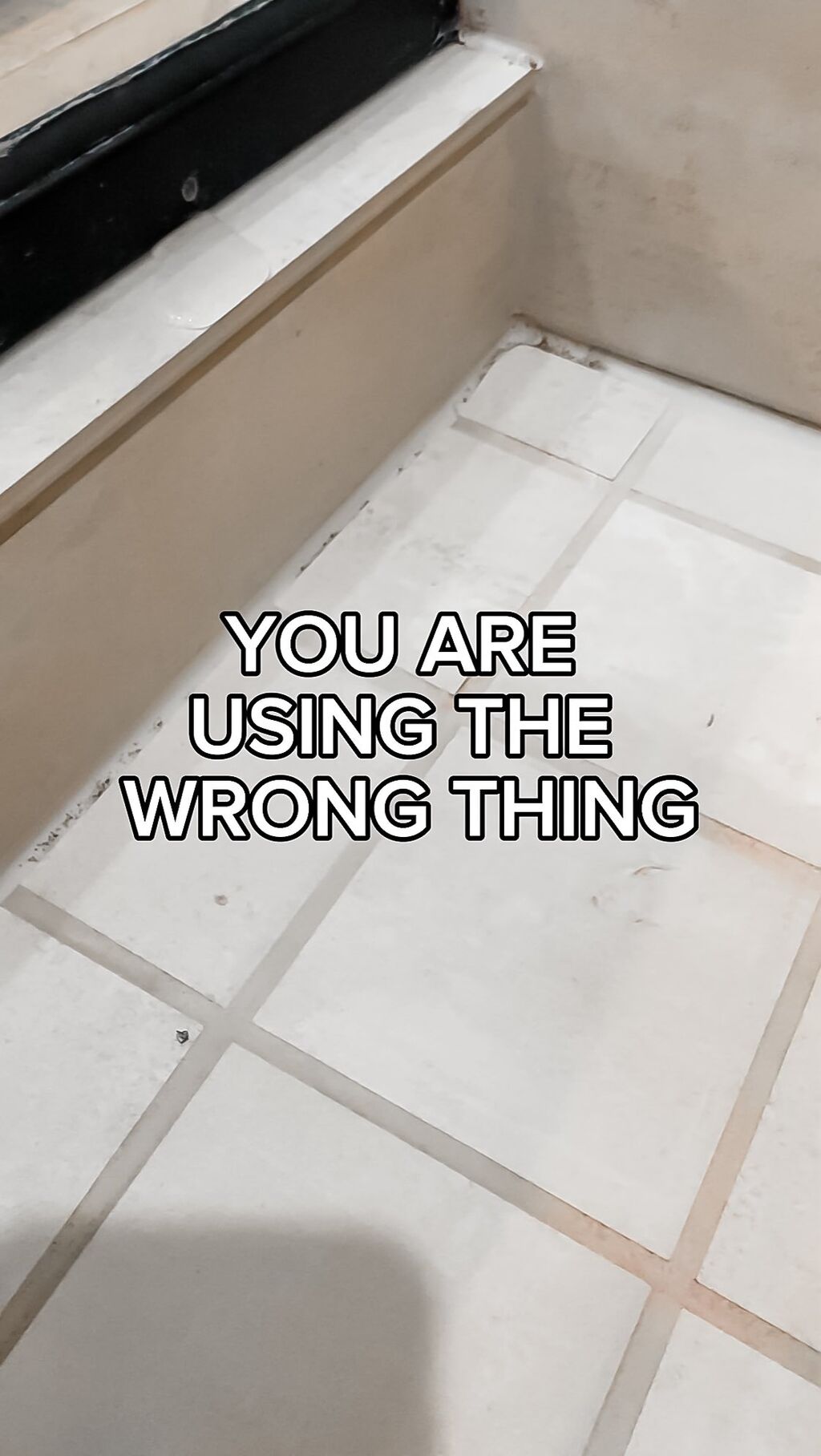 MOLD REMOVAL