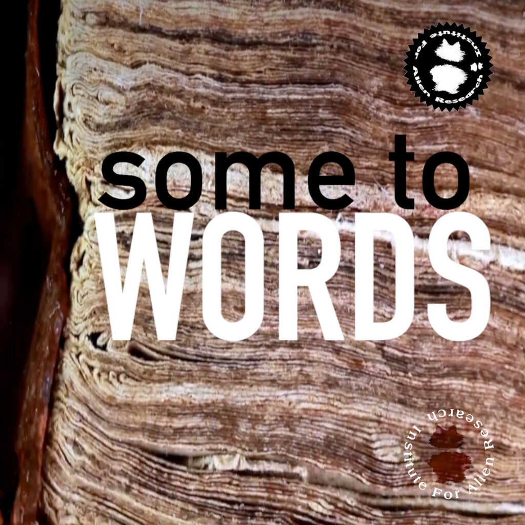 some to WORDS - Little graceful Noisy poetry on the Musique Concréte compilation album