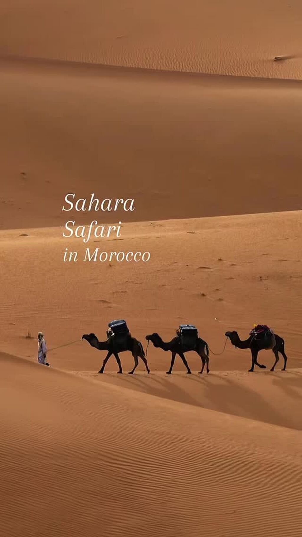 Discover our Intimate Morocco