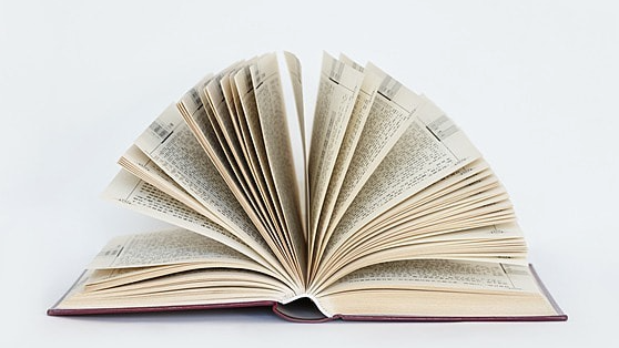 Flipbook