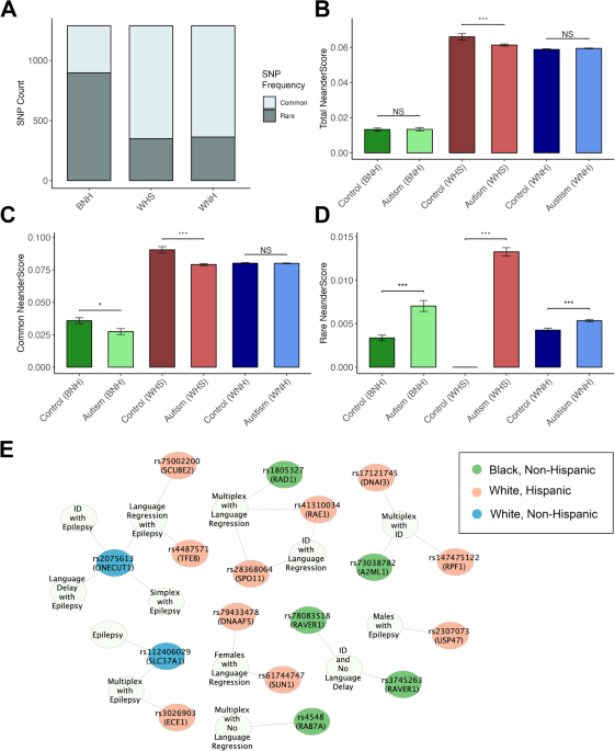 Neanderthal genes linked to Autism - Molecular Psychiatry
