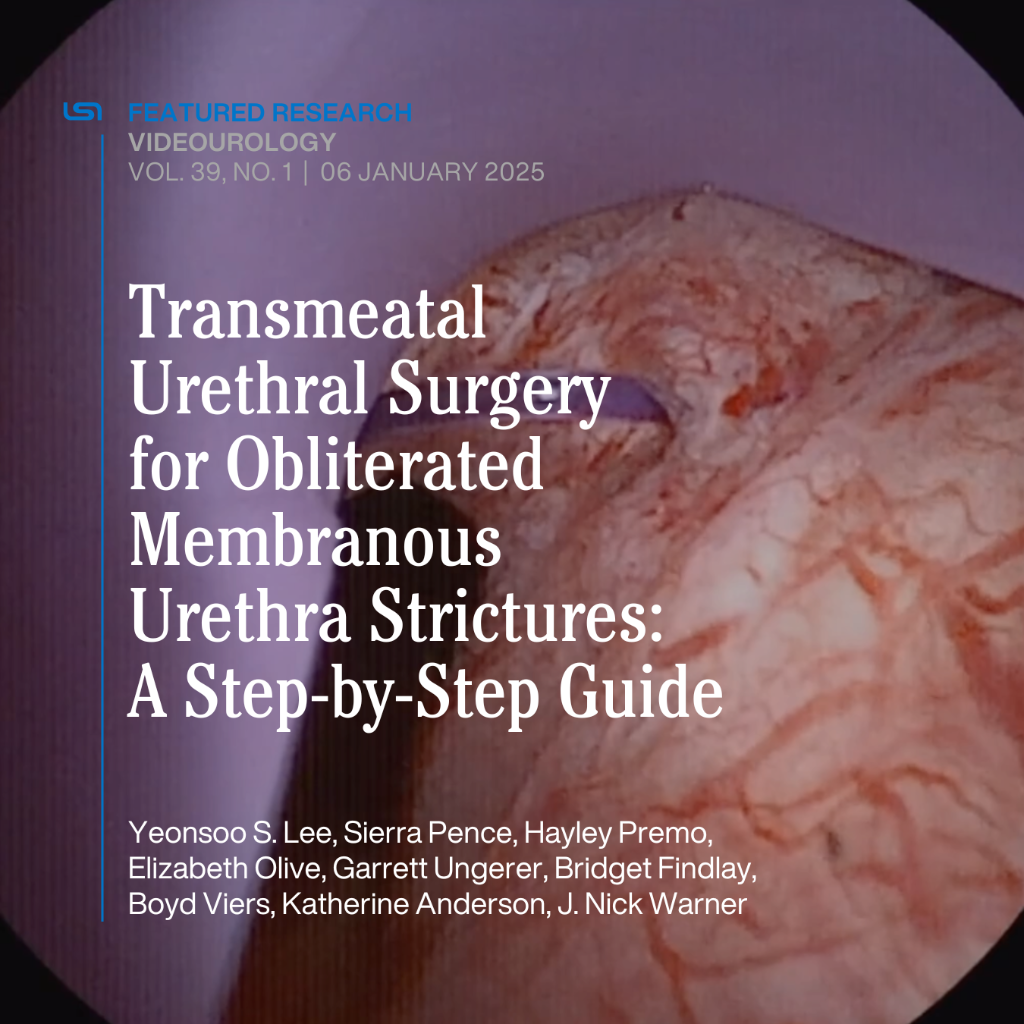 Videourology | 2025
