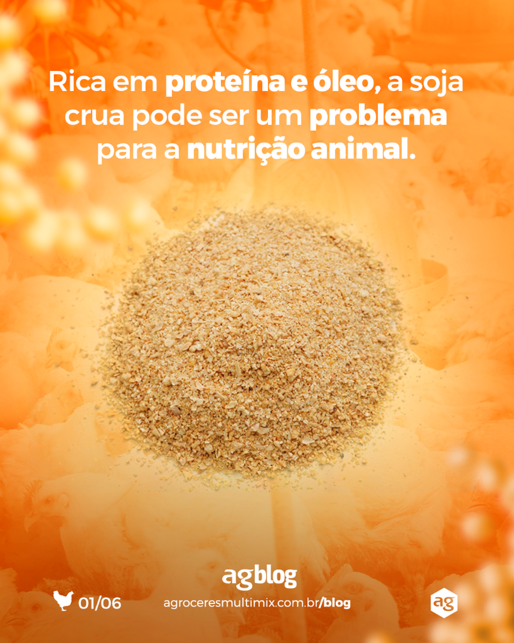 Fatores antinutricionais, m&eacute;todos de processamento, riscos do superaquecimento e como garantir a qualidade do farelo s&atilde;o alguns dos pontos explorados no novo artigo do agBlog. 