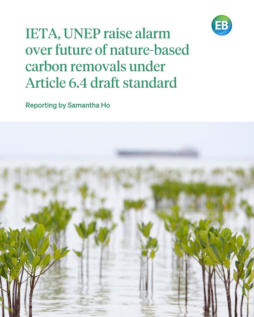 IETA, UNEP raise alarm over future of nature-based carbon removals under Article 6.4 draft standard