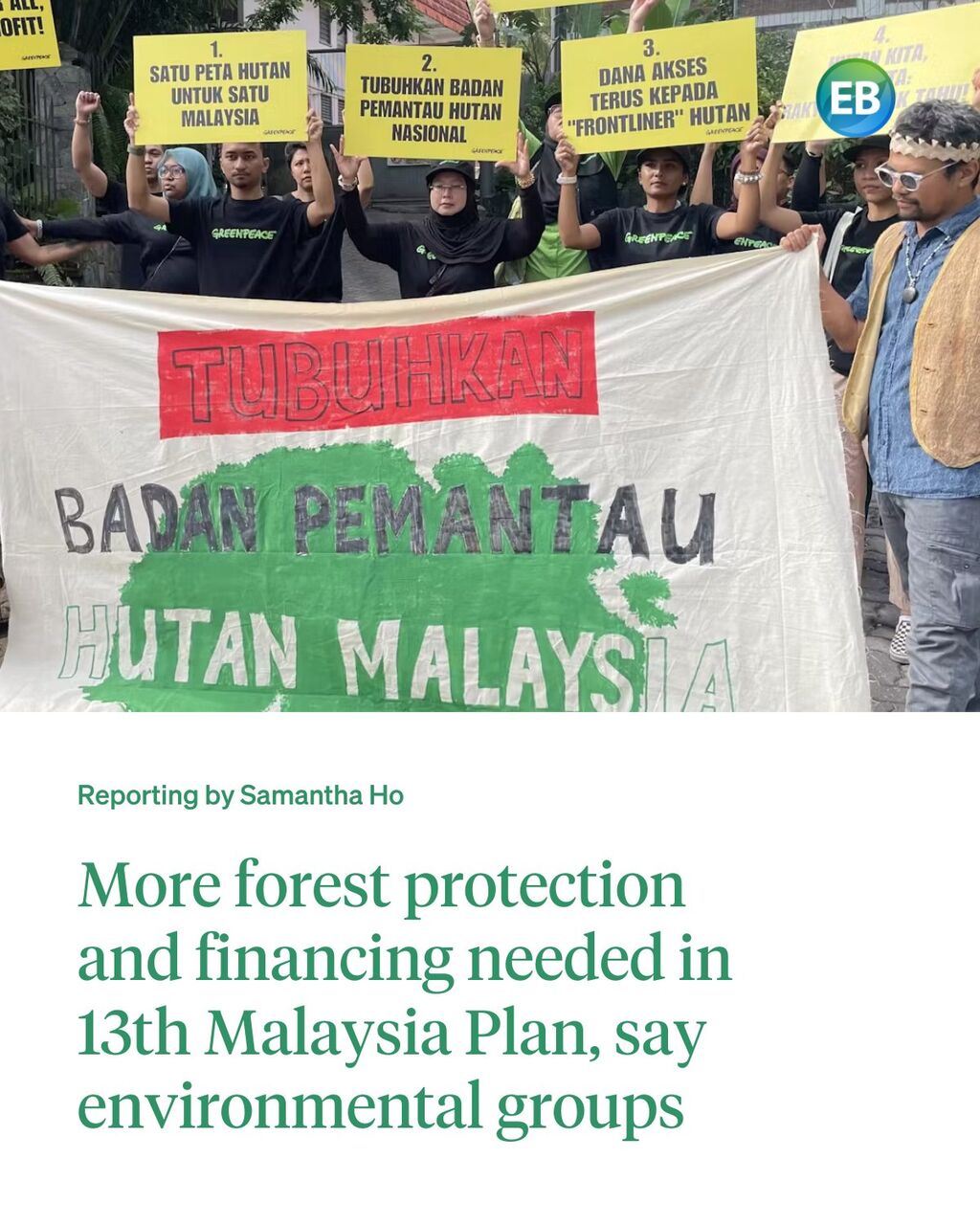 More forest protection and financing needed in 13th Malaysia Plan, say environmental groups
