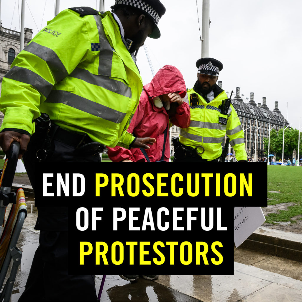 Protect the Protest