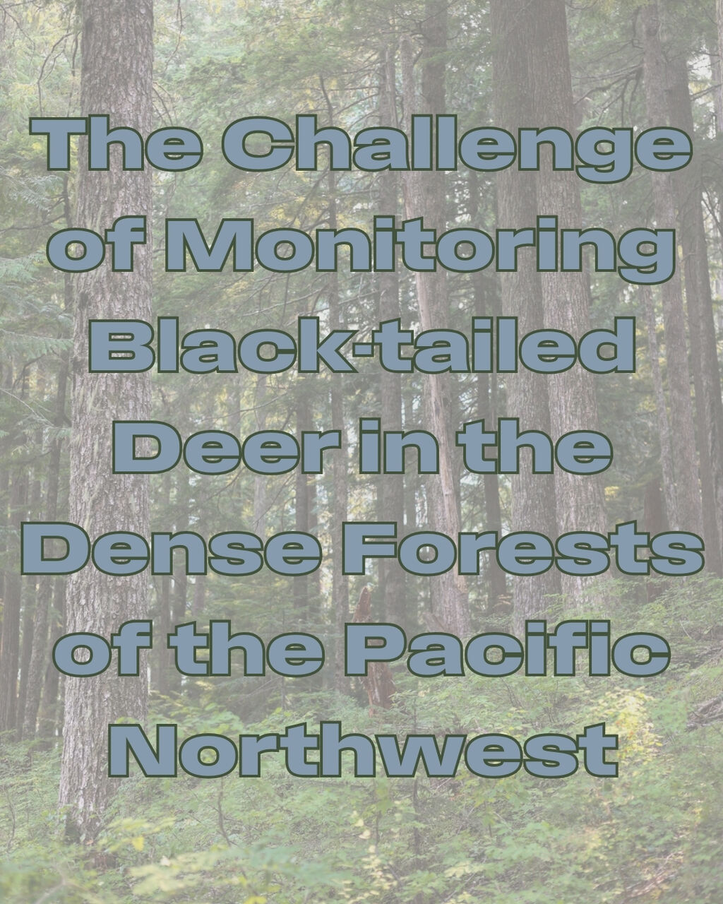 The Challenge of Monitoring Black-tailed Deer in the Dense Forests of the Pacific Northwest