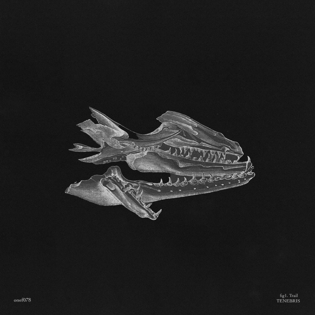 TRAIL - TENEBRIS EP 