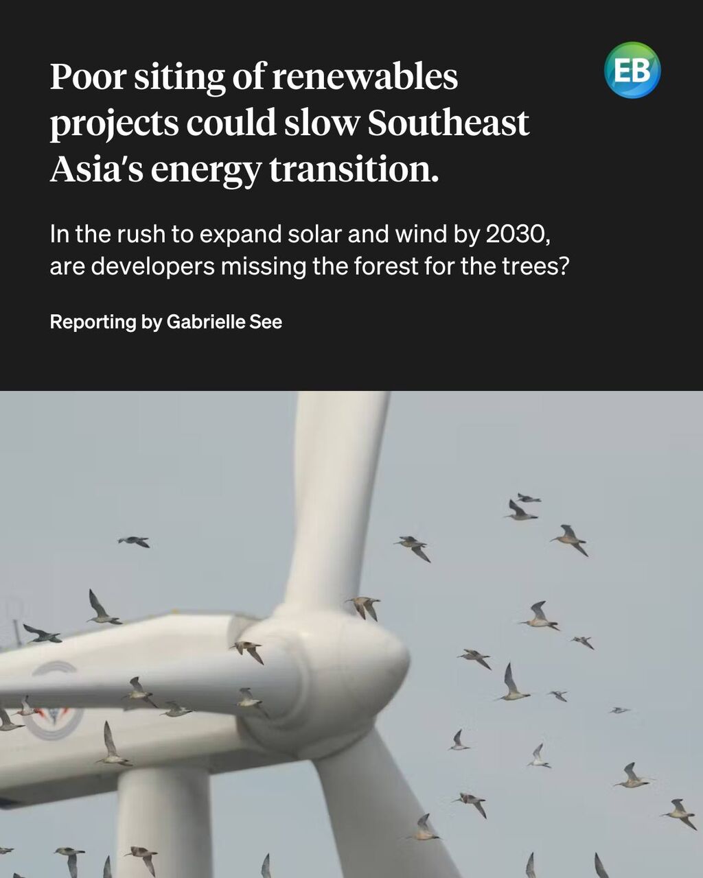 &lsquo;Not a given that renewables will be harmless&rsquo;: How poor siting could slow Southeast Asia&rsquo;s energy transition