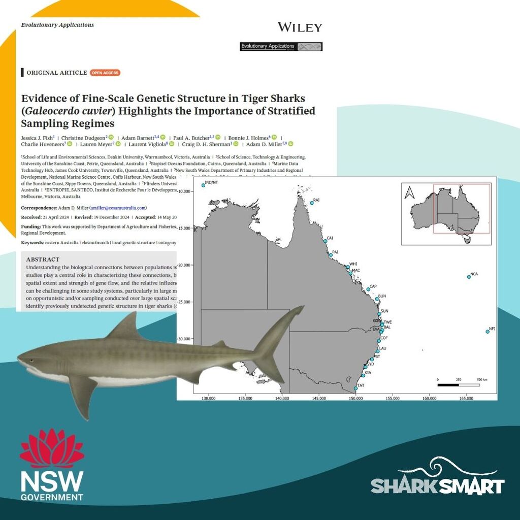 Evidence of Fine‐Scale Genetic Structure in Tiger Sharks (Galeocerdo cuvier) Highlights the Importance of Stratified Sampling Regimes
