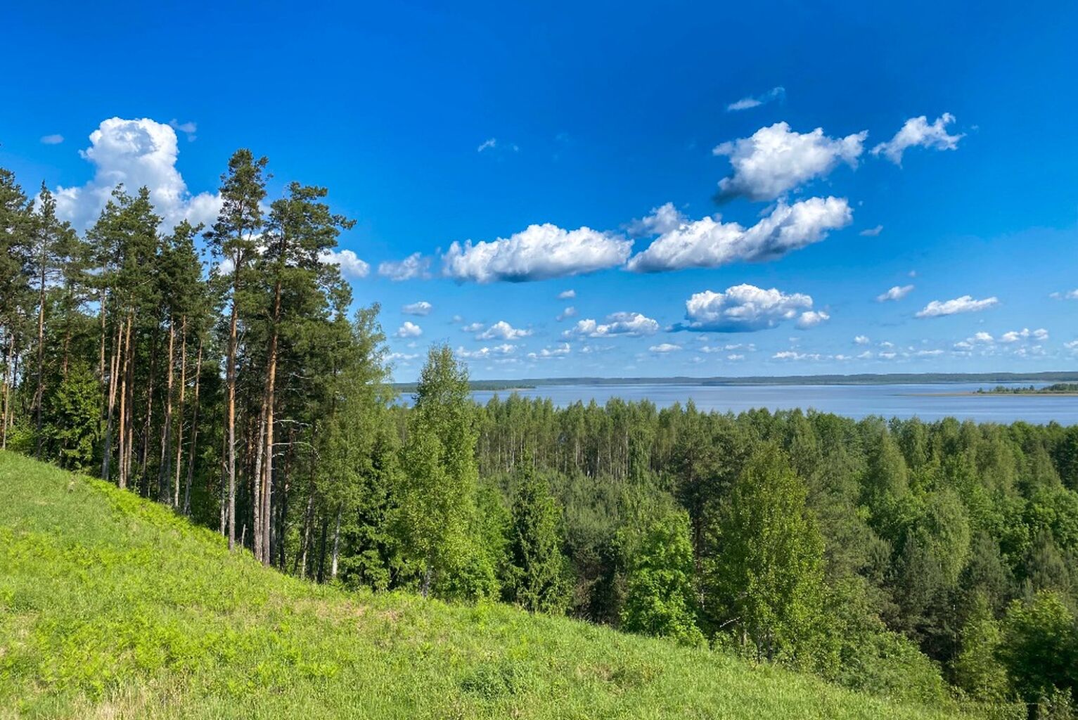 Заказники Беларуси презентовали свой опыт развития экотуризма на Ecology Expo Belarus 2025