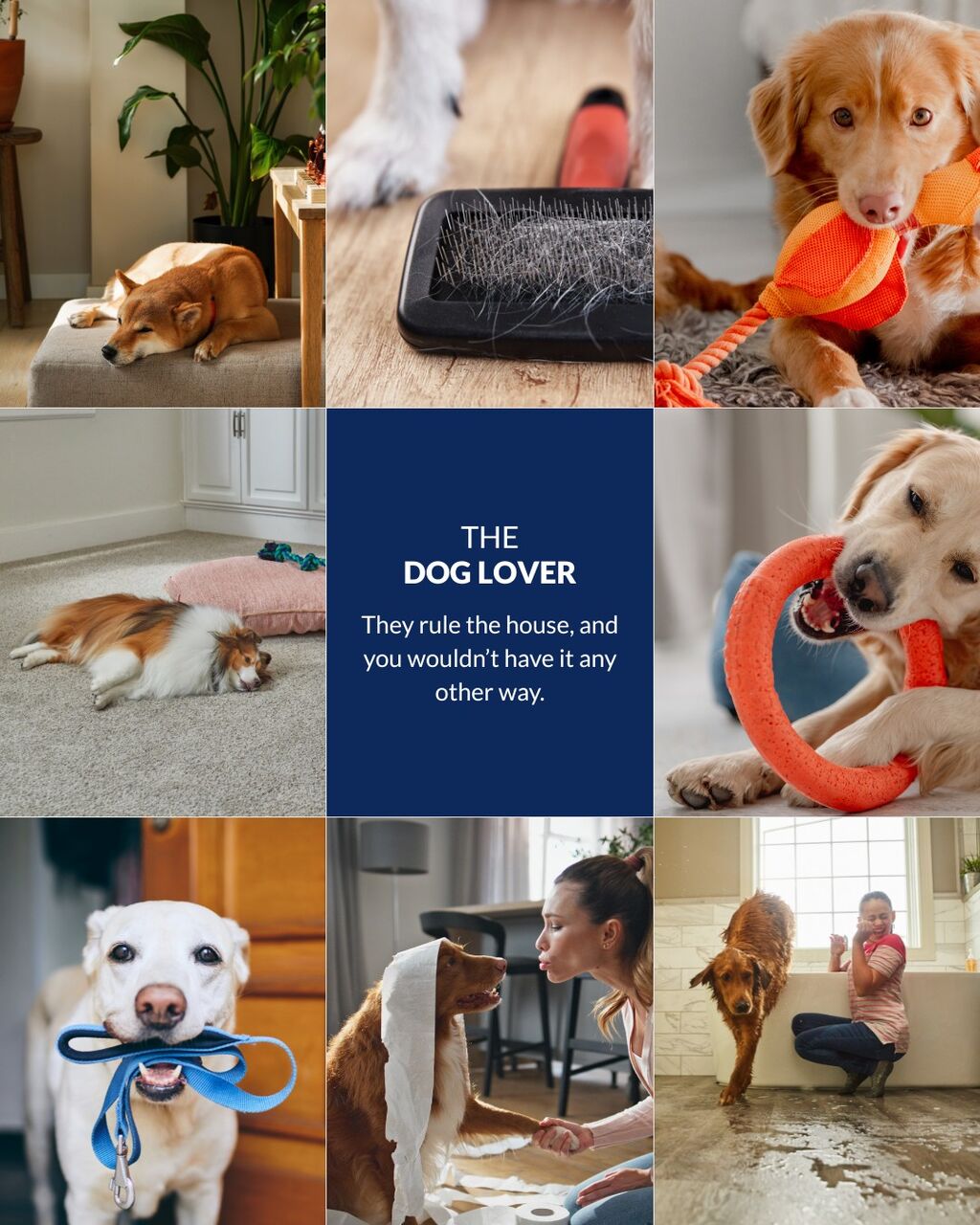 Your home. Your floors. Your lifestyle.