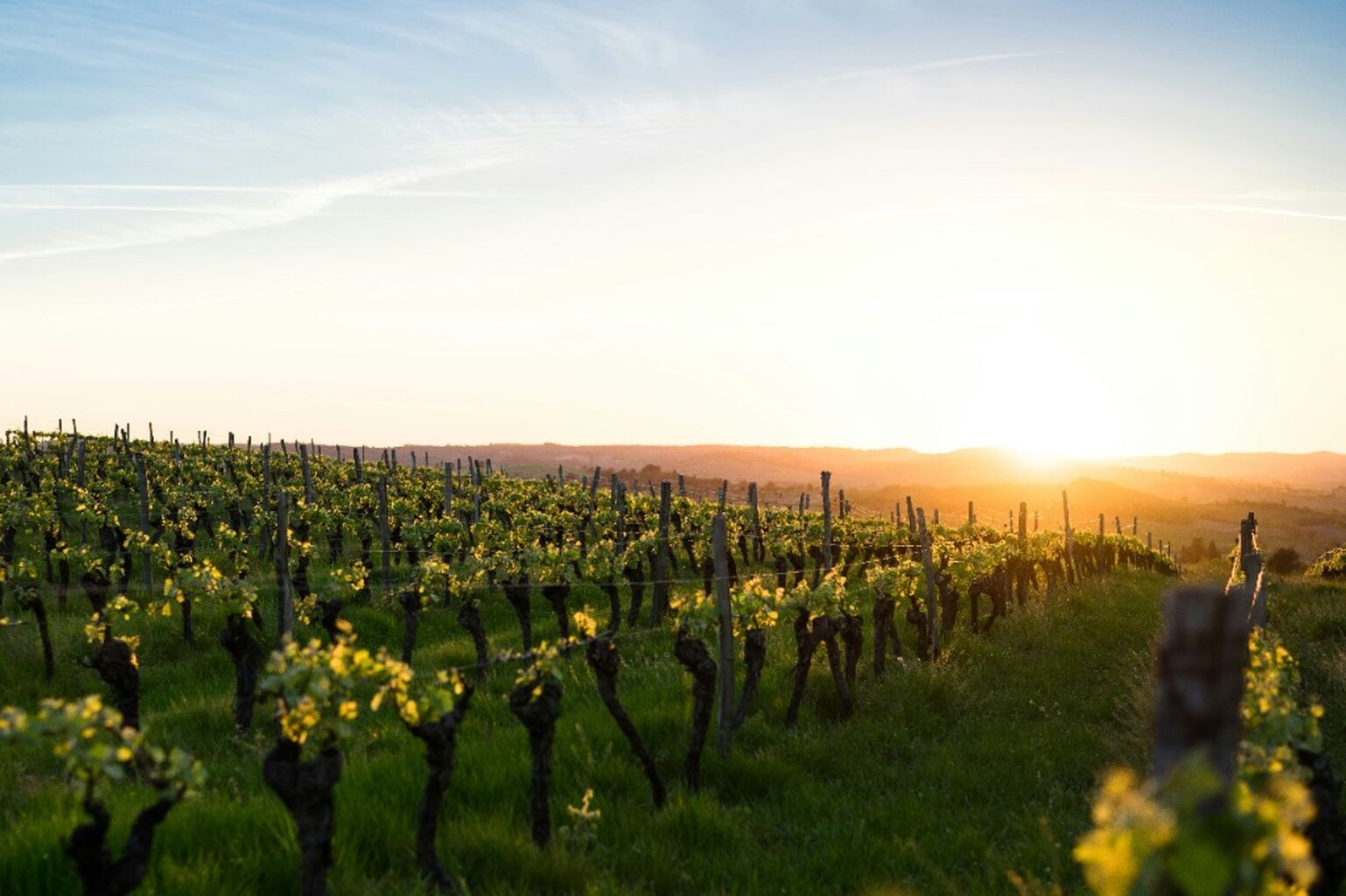 California Wineries - J Lohr's Sustainability Initiatives