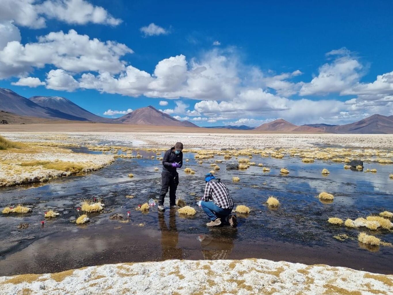 Salar de La Isla: ciencia para un futuro con litio sustentable