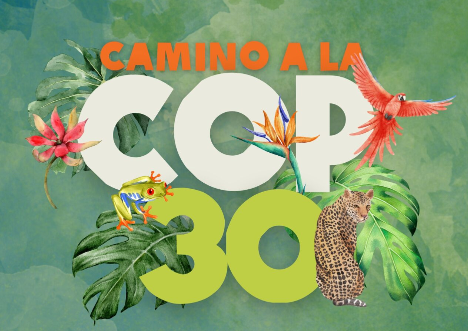 Camino a la COP30