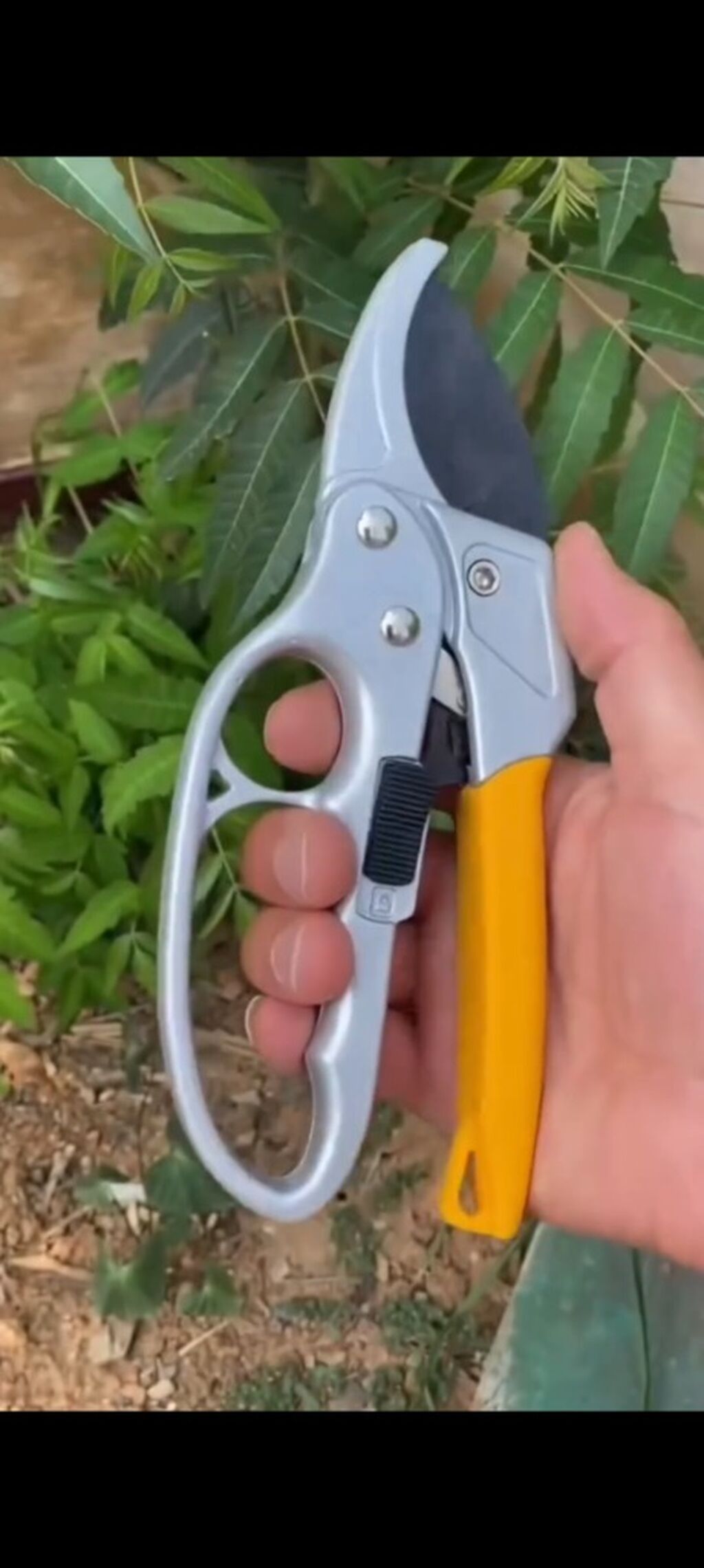 PRUNING SHEAR