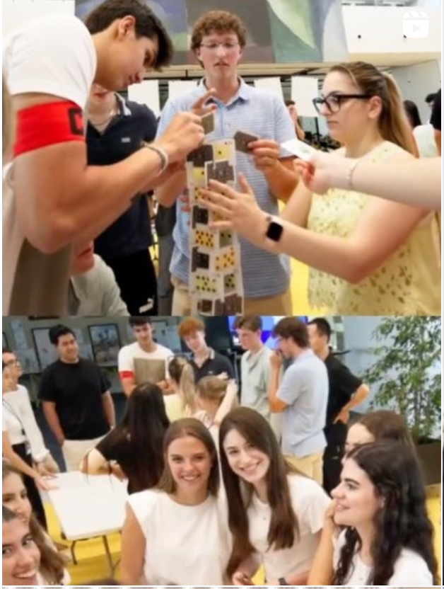 IE Summer School