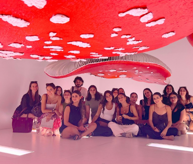 Poli.Design Program