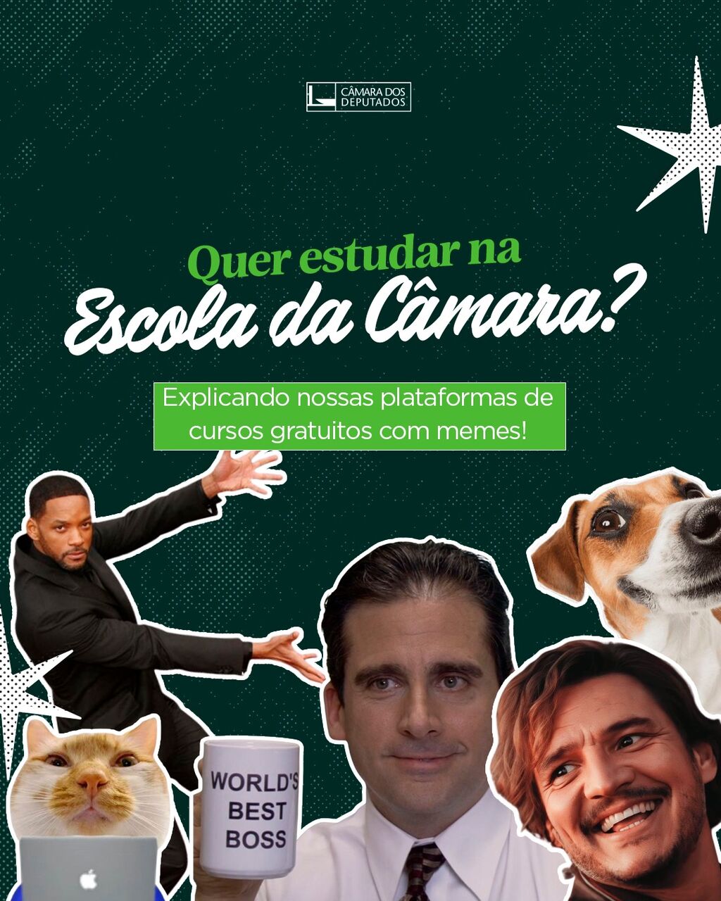 cursos