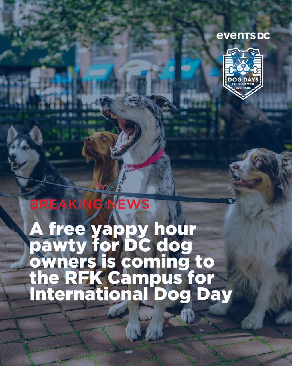 Dog Days of Summer Registration