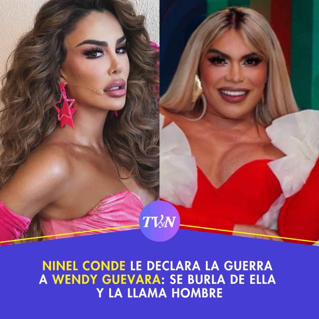 Ninel Conde le declara la guerra a Wendy Guevara: Se burla de ella y la llama hombre